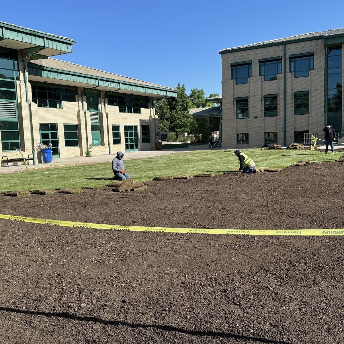 Fresh sod installation on a Denver commercial property