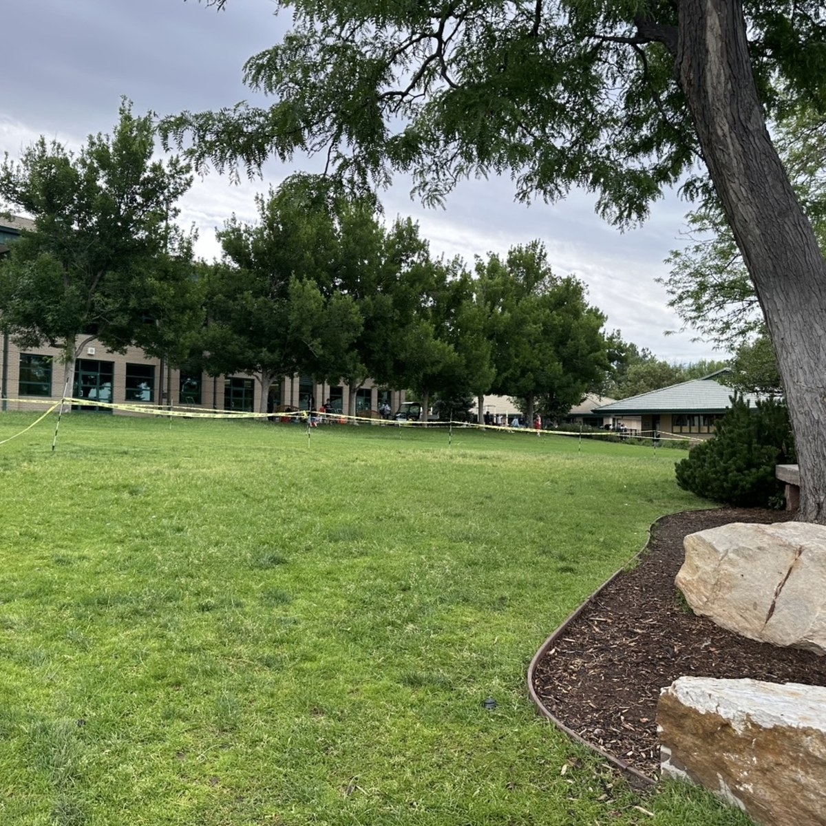 Healthy green lawn with mulched bed and stone accents
